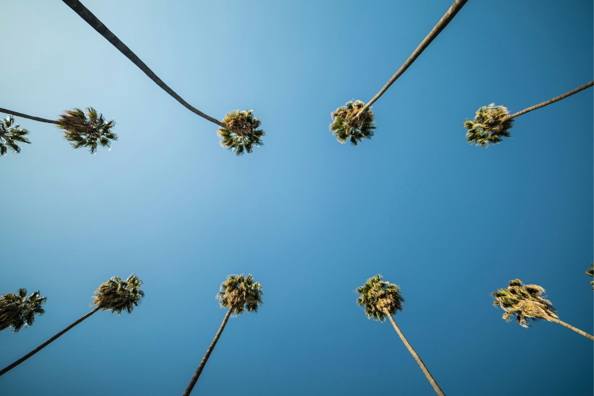 Enamórate de Palm Springs